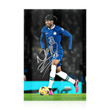 Noni Madueke Signed 12x8 Photo