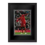 Daniel Sturridge Signed A4 Photo