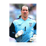 David Seaman signed A4 Photo