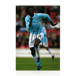 Emmanuel Adebayor Signed 12x8 Photo