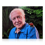 David Attenborough Signed 10x8