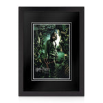 Gary Oldman Signed A4 Photo