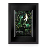 Gary Oldman Signed A4 Photo
