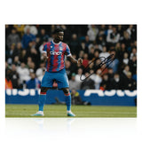 Marc Guehi Signed A4 Photo