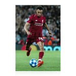 Trent Alexander-Arnold Signed 12x8 Photo