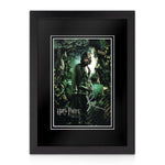 Gary Oldman Signed A4 Photo