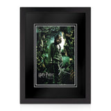 Gary Oldman Signed A4 Photo