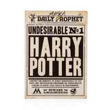 Daniel Radcliffe Signed A3 Cardstock Poster