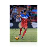 DeAndre Yedlin signed 11x14