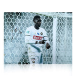 Amadou Onana Signed Lille 16x12
